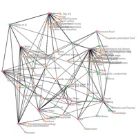 Example of an information visualization by Victor Chen