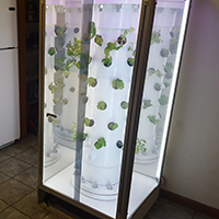 HydroGrow