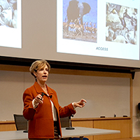Lesa Mitchell