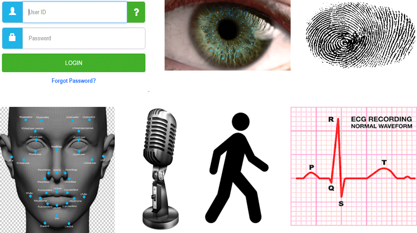 Biometric Authentication