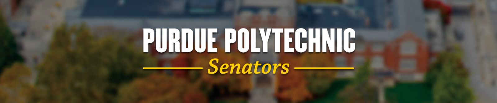 Polytechnic Ambassadors