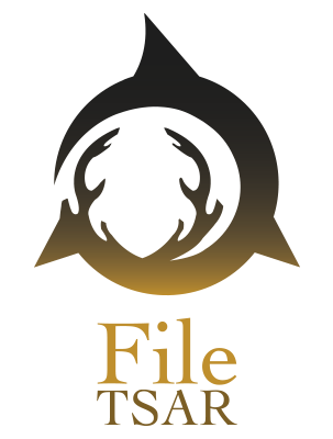 FileTSAR