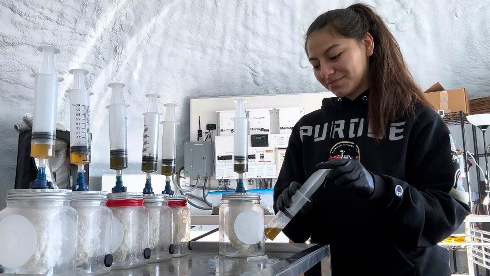 Sanchez was not only the greenhouse steward at MDRS, but also had her own experiment with the plastic-devouring mushroom samples, seen here. (Photo provided: Adriana Sanchez)