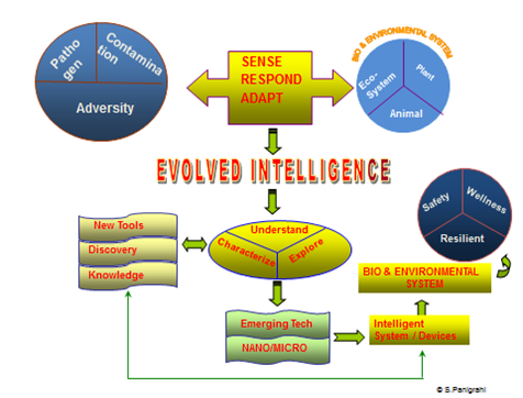 Our Theme: Inn-o-gineering Smart Solutions with High Impact
